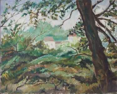 Mljet, village Govedjari by Stojović Zoran