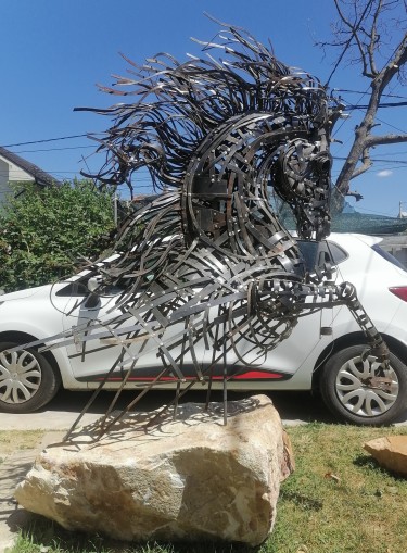 Trotting Horse by Z&amp;Z galerija