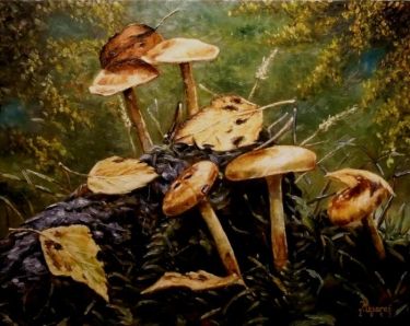Mushrooms by Mesaroš Joži